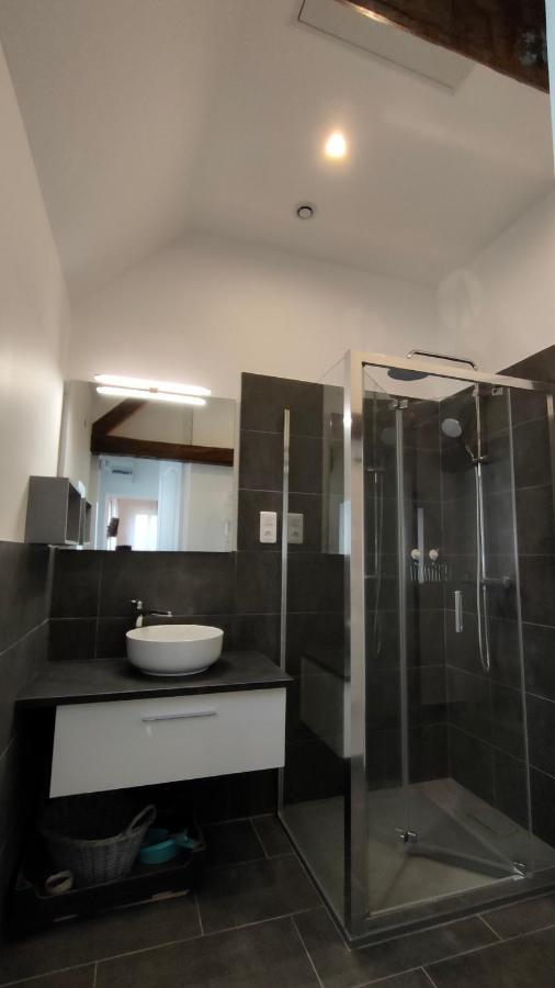 Domaine Ravy-Magnolia Apartment Saint-Symphorien-sur-Saone Bagian luar foto